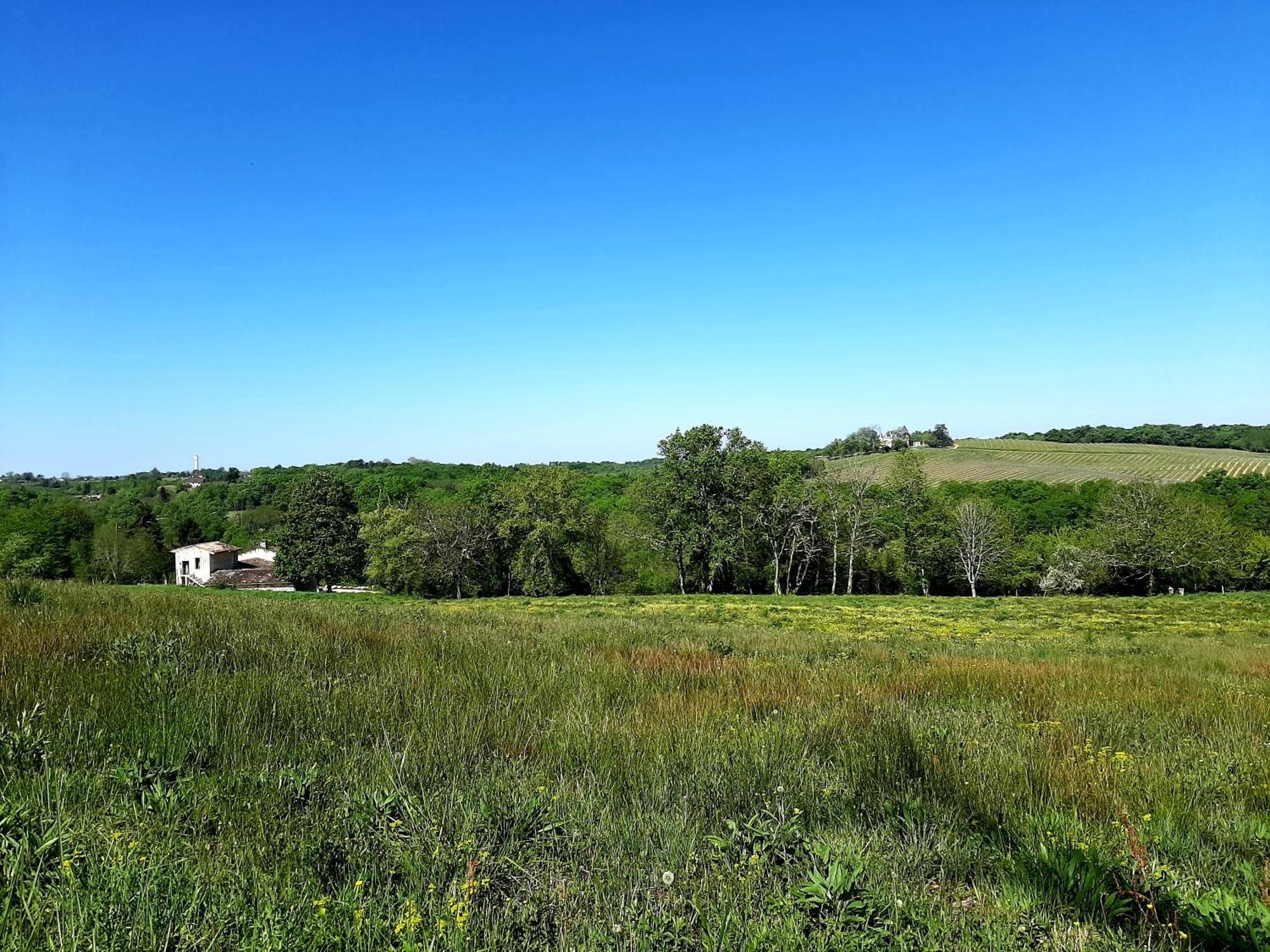 Aux Tuileries Nord B&B Creon Exterior photo